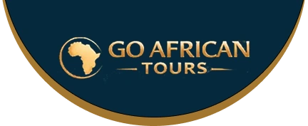Discover South Africa logo